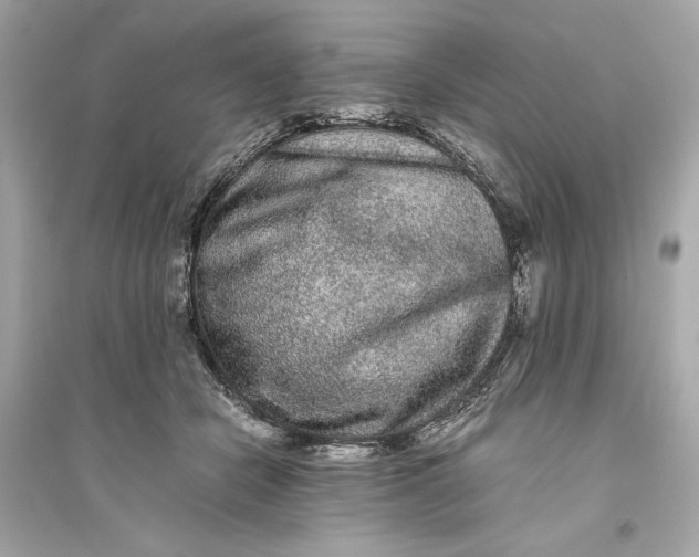 X0000094820462200711301633