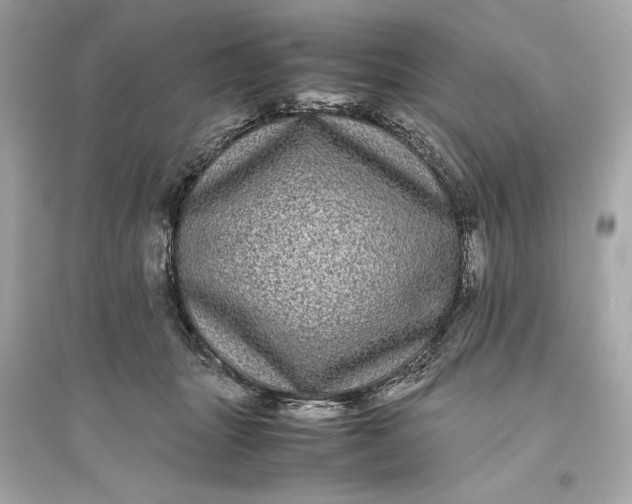 X0000094820463200711301633