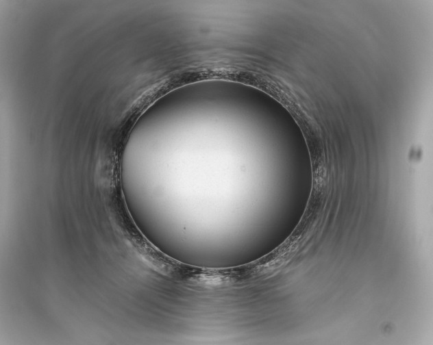 X0000094820464200711301633