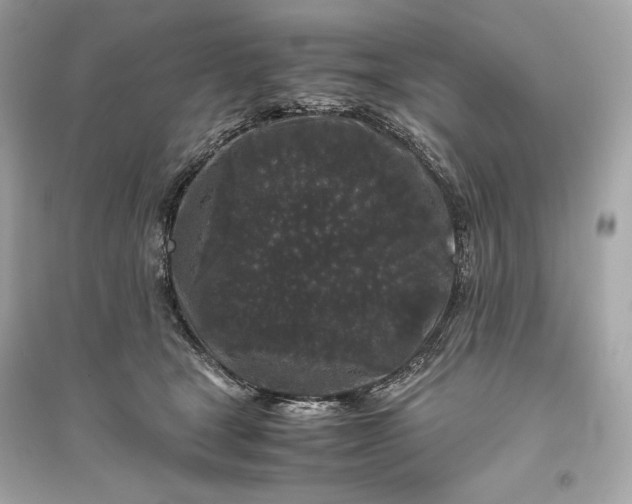 X0000094820465200711301633