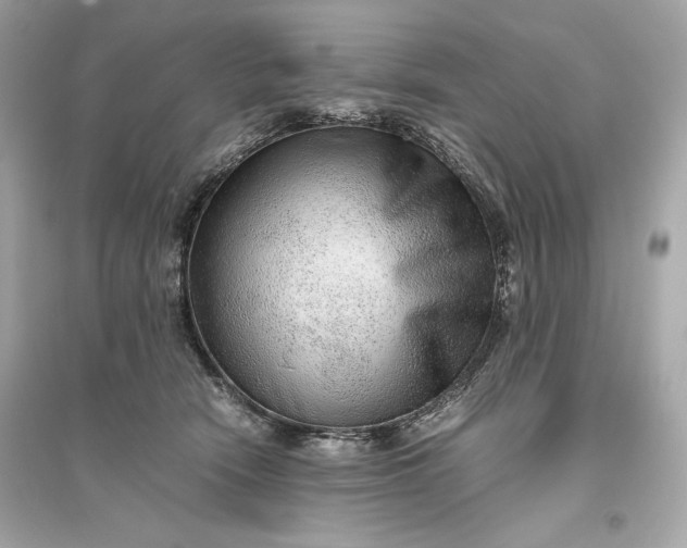 X0000094820466200711301633