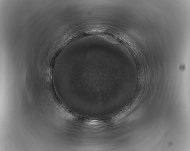 X0000094820467200711301633