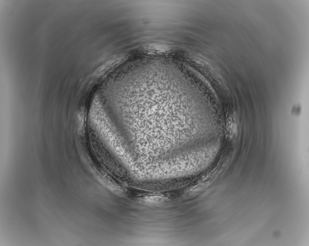 X0000094820468200711301633