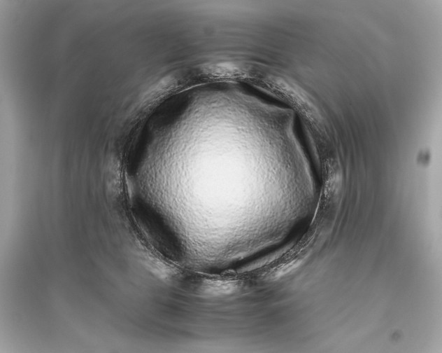 X0000094820469200711301633