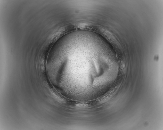 X0000094820470200711301633