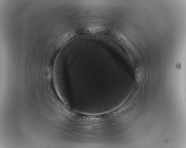 X0000094820471200711301633