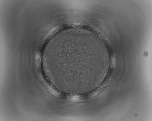 X0000094820472200711301633