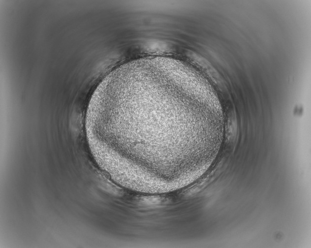 X0000094820473200711301633