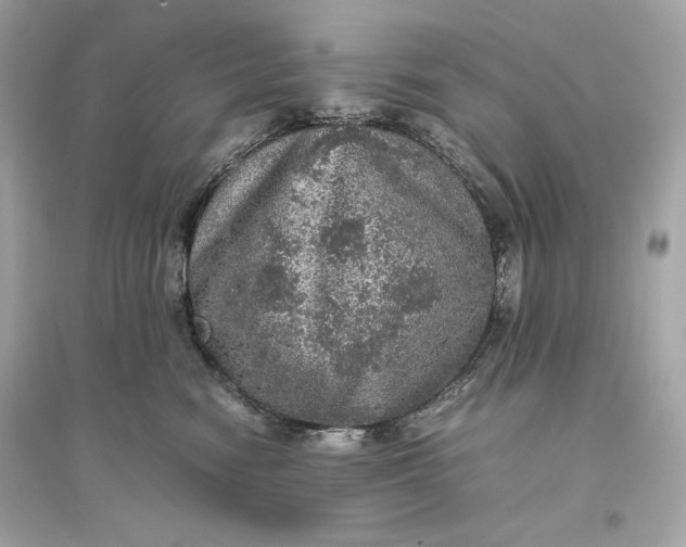 X0000094820474200711301634