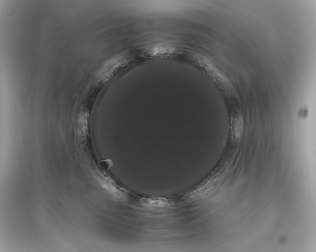 X0000094820475200711301634