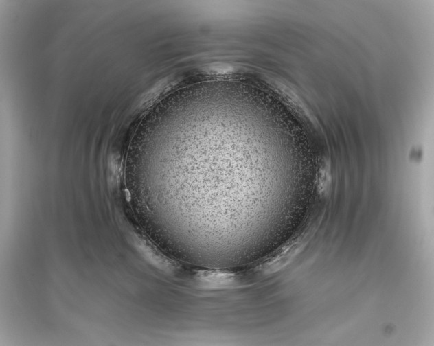 X0000094820476200711301634