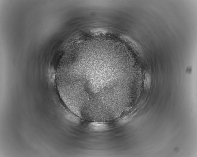 X0000094820477200711301634