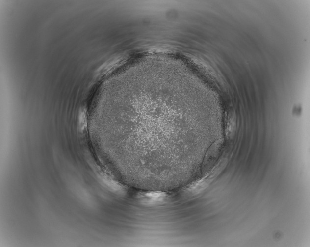 X0000094820478200711301634