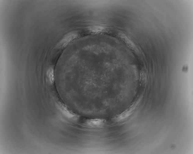 X0000094820479200711301634