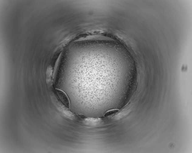 X0000094820480200711301634