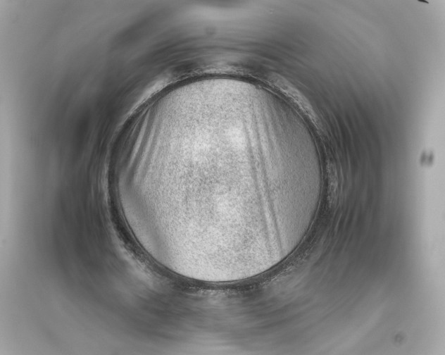 X0000094820482200711301633