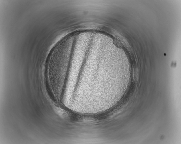 X0000094820483200711301633