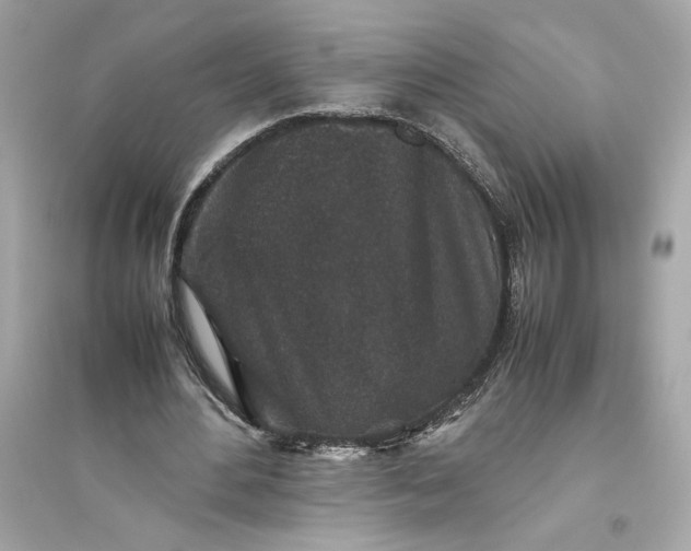 X0000094820484200711301633