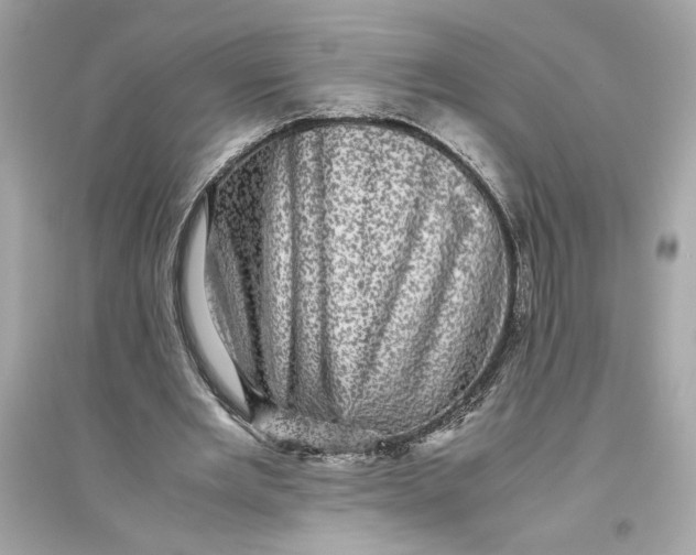 X0000094820485200711301633