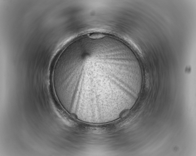 X0000094820486200711301633