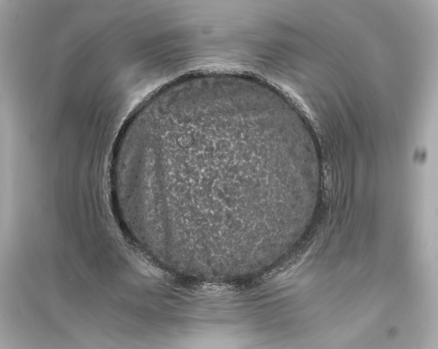 X0000094820487200711301633