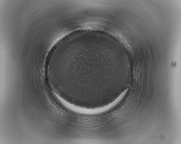 X0000094820488200711301633