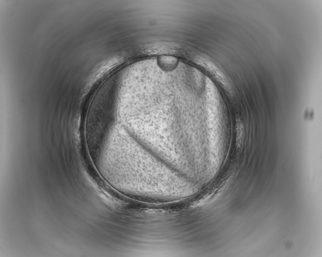 X0000094820490200711301633