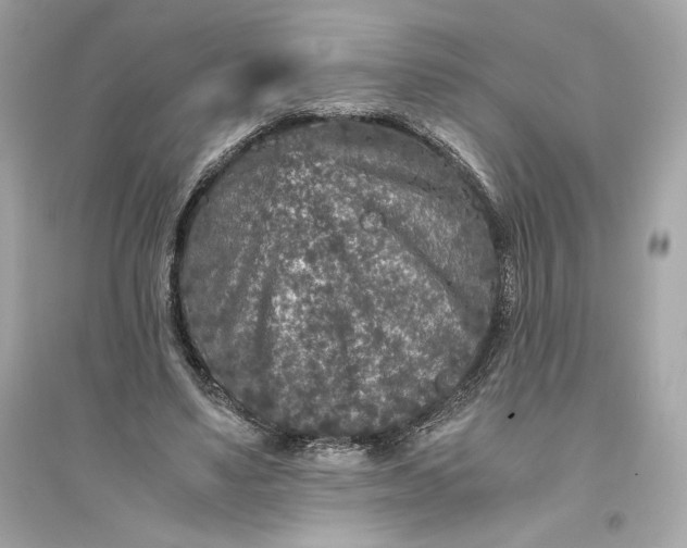 X0000094820491200711301633