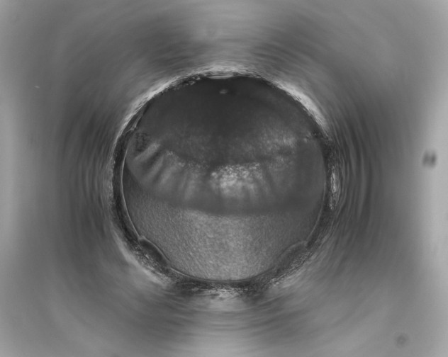 X0000094820492200711301633