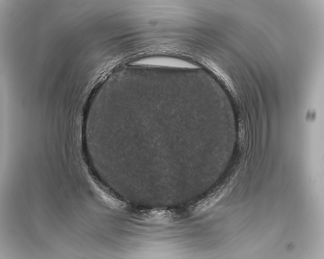 X0000094820493200711301633