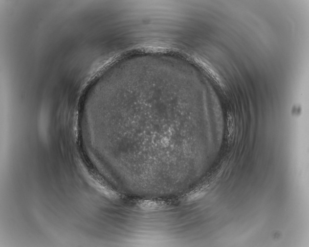 X0000094820494200711301633