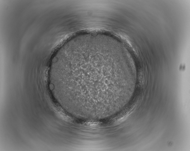 X0000094820495200711301633