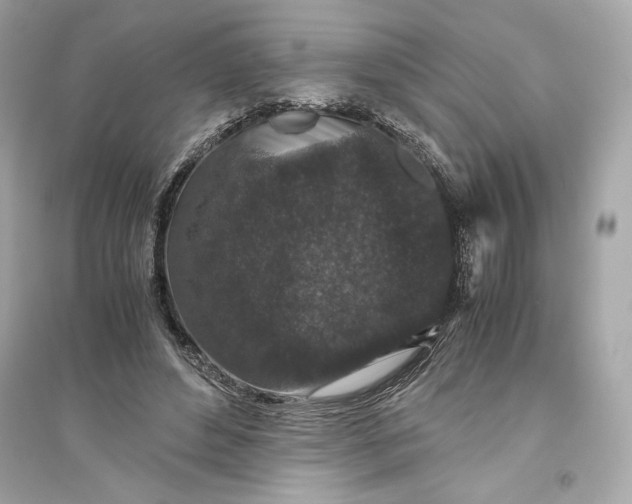 X0000094820496200711301633