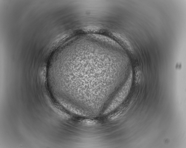 X0000094820498200711301633