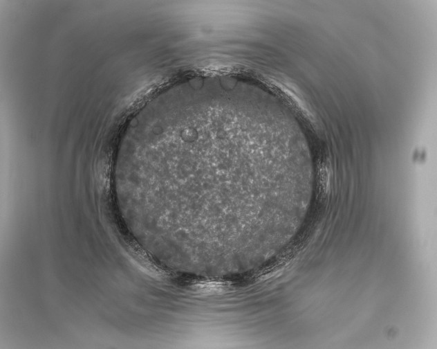 X0000094820499200711301633