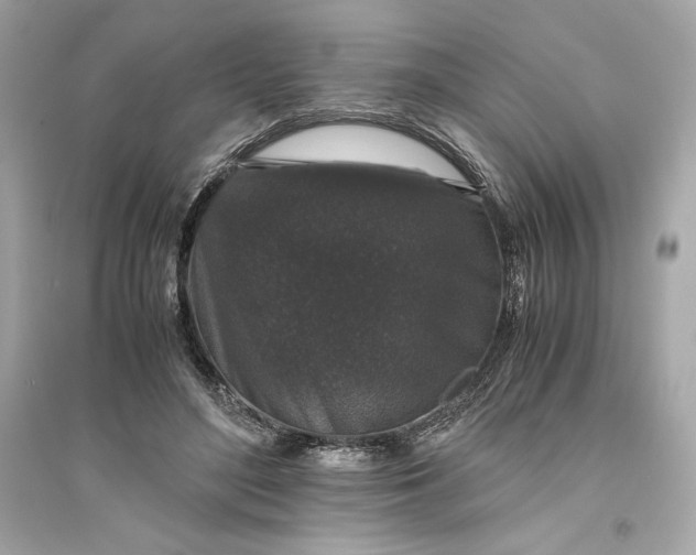 X0000094820500200711301633