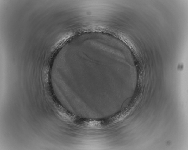 X0000094820501200711301633