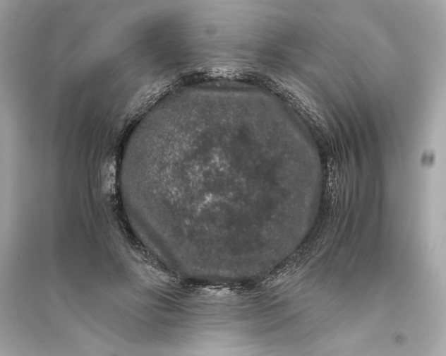 X0000094820502200711301633