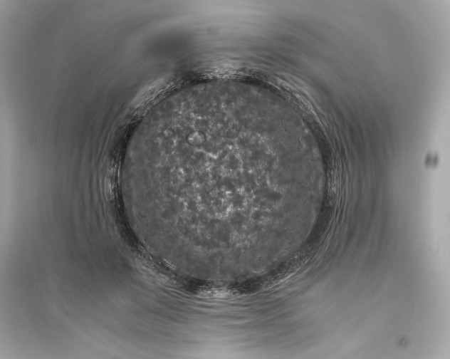 X0000094820503200711301633