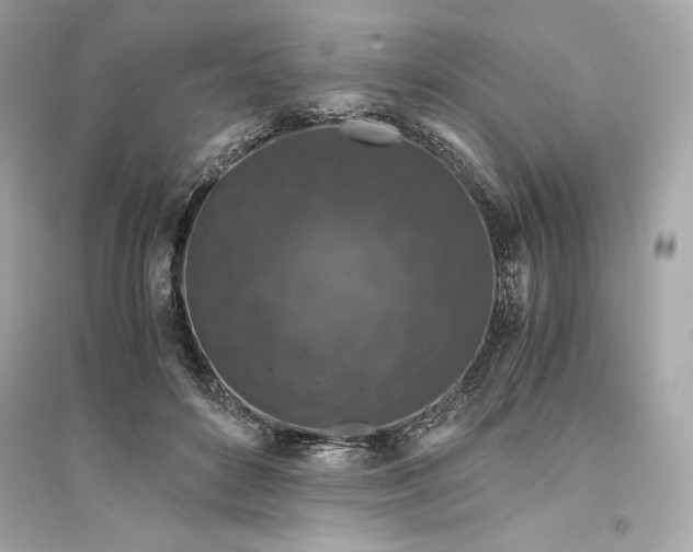 X0000094820504200711301633