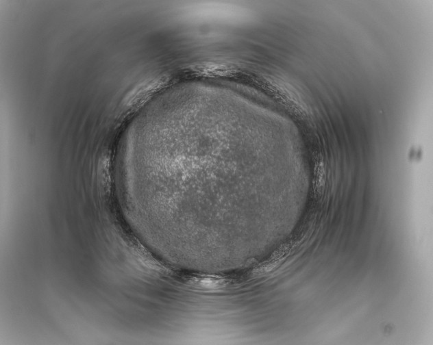 X0000094820506200711301633