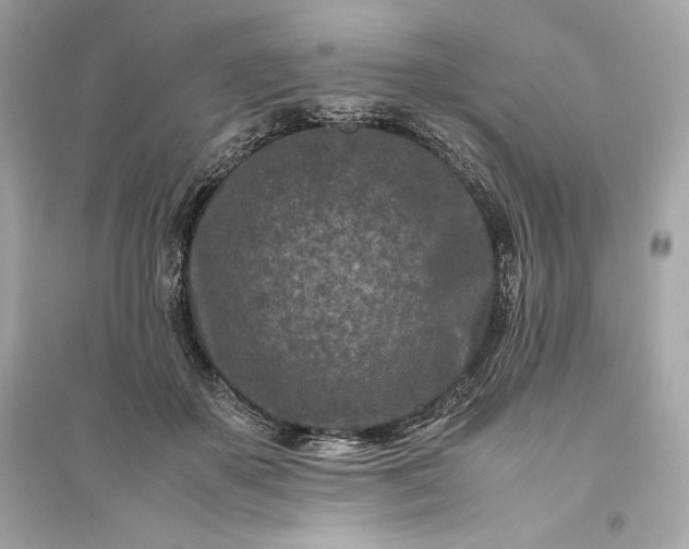 X0000094820507200711301633