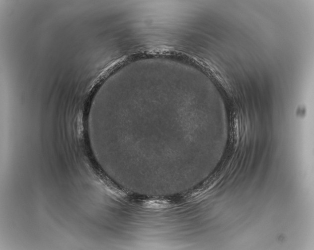 X0000094820508200711301633