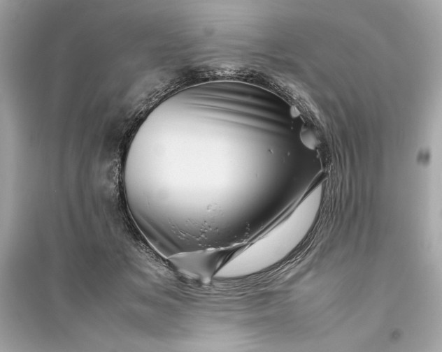 X0000094820509200711301633