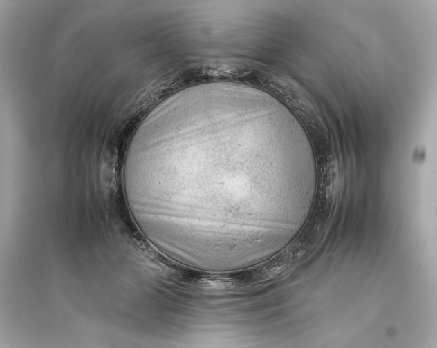 X0000094820510200711301633