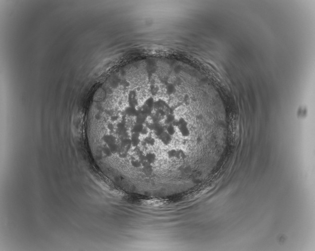 X0000094820511200711301633