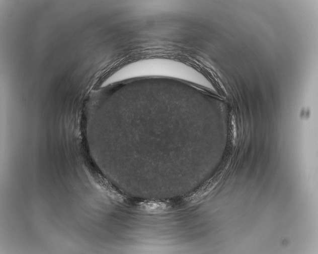 X0000094820512200711301632