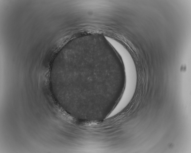 X0000094820513200711301632