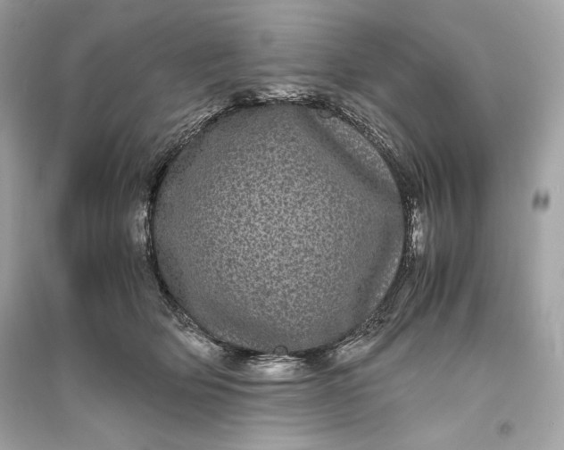 X0000094820514200711301632