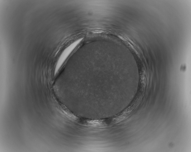 X0000094820516200711301632